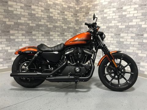 harley davidson iron 883 saddlebags